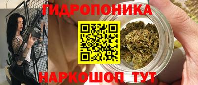 spice Новозыбков